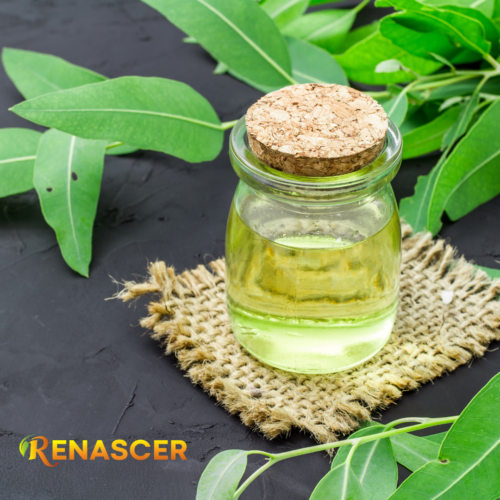 Aceite de Eucalipto