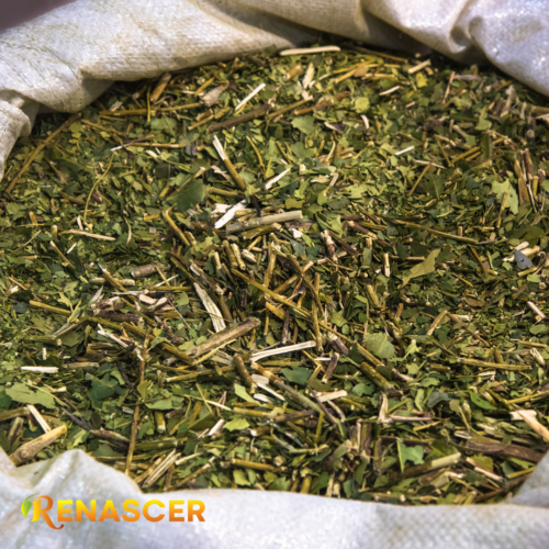Mate de trimate