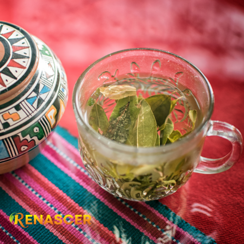 Mate de Coca